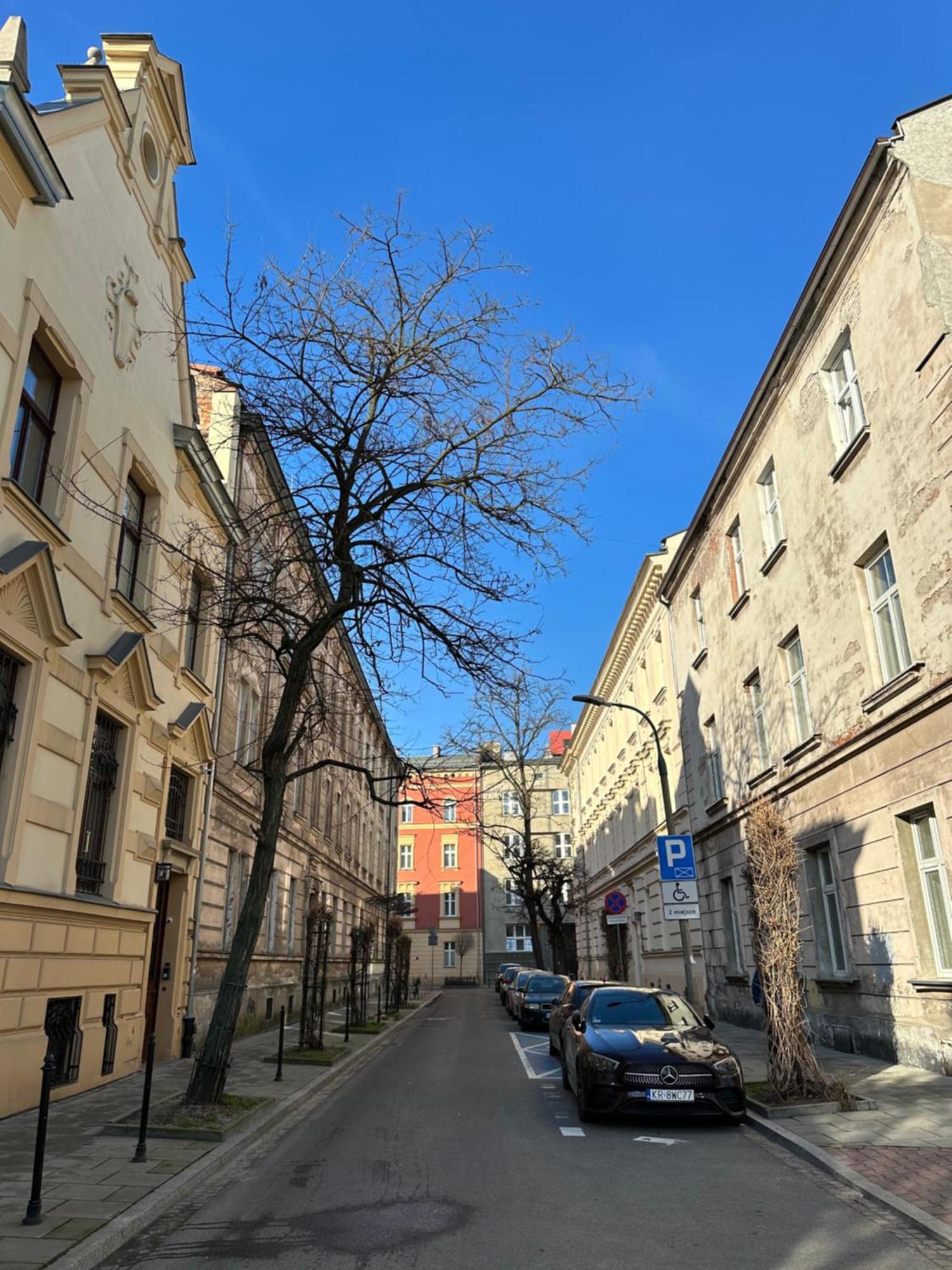 Perfect Place To Stay In Krakow City Center 18M2 W5 Exterior foto